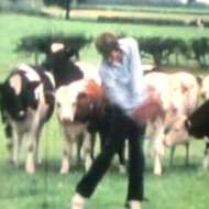 Charlie Bull