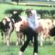 Charlie Bull